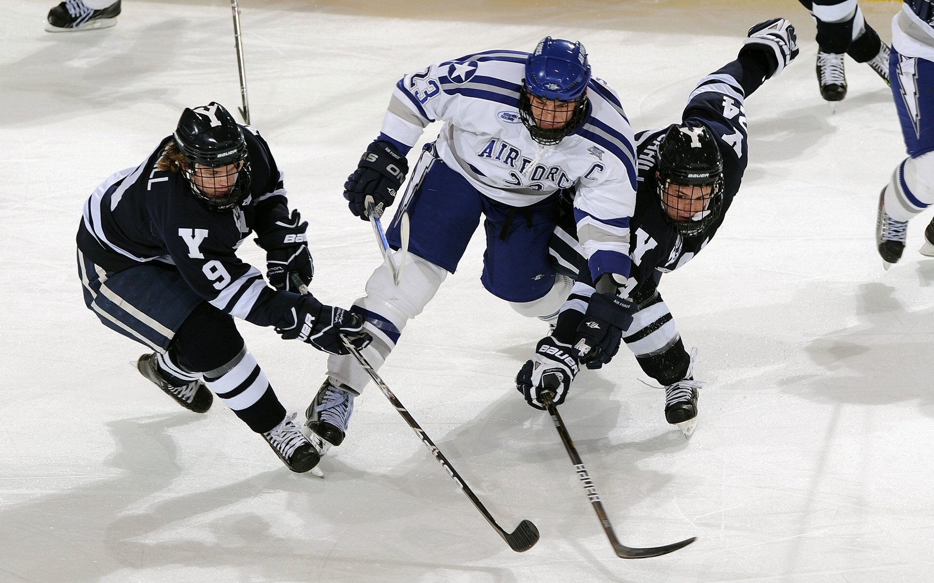 史上最动人的“冠军誓言”——他们的荣耀故事催人泪下，冠军的荣耀小说